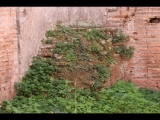 01472 ostia - regio ii - insula vi - casa dell'ercole bambino (ii,vi,3-4) - via della fontana - 2. raum von norden an der ostseite der casa - bli ri westen - detail - suedwestecke - 01-2024.jpg